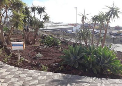 Jardines de Calle el Til